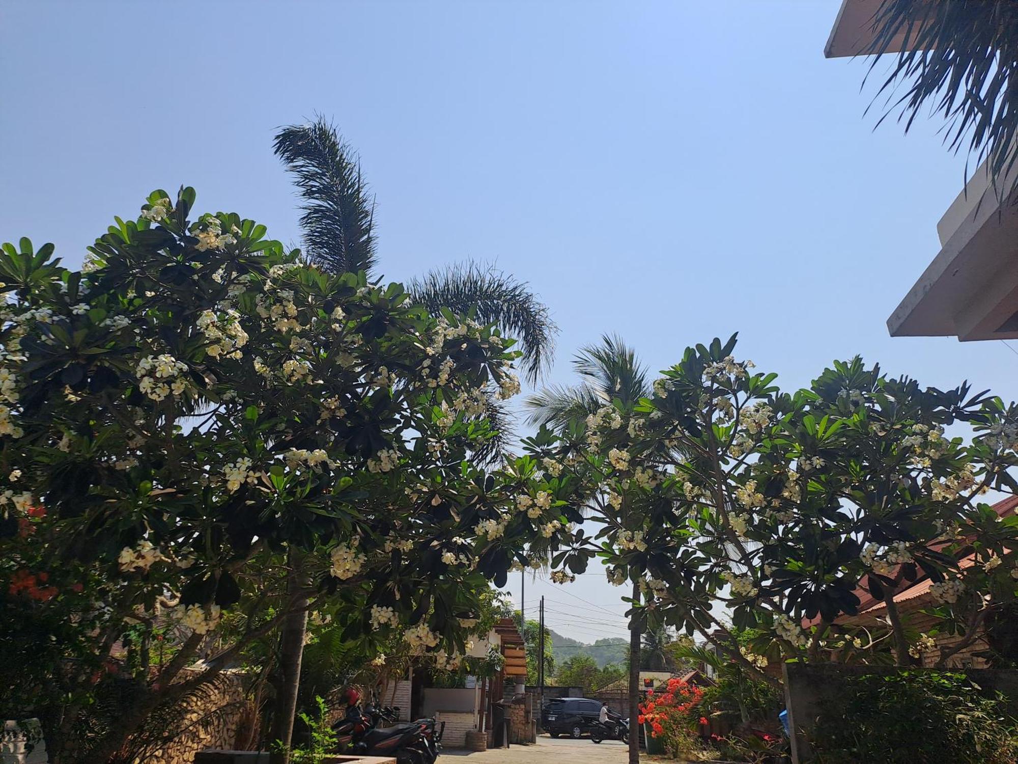 Kutabay Homestay Kuta  Dış mekan fotoğraf